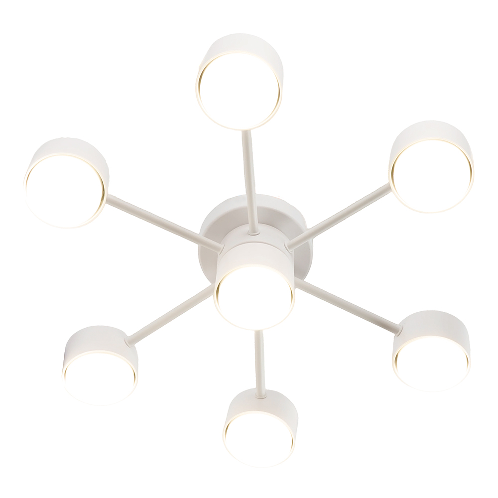 Потолочный светильник Feron AL269  53101 в Санкт-Петербурге