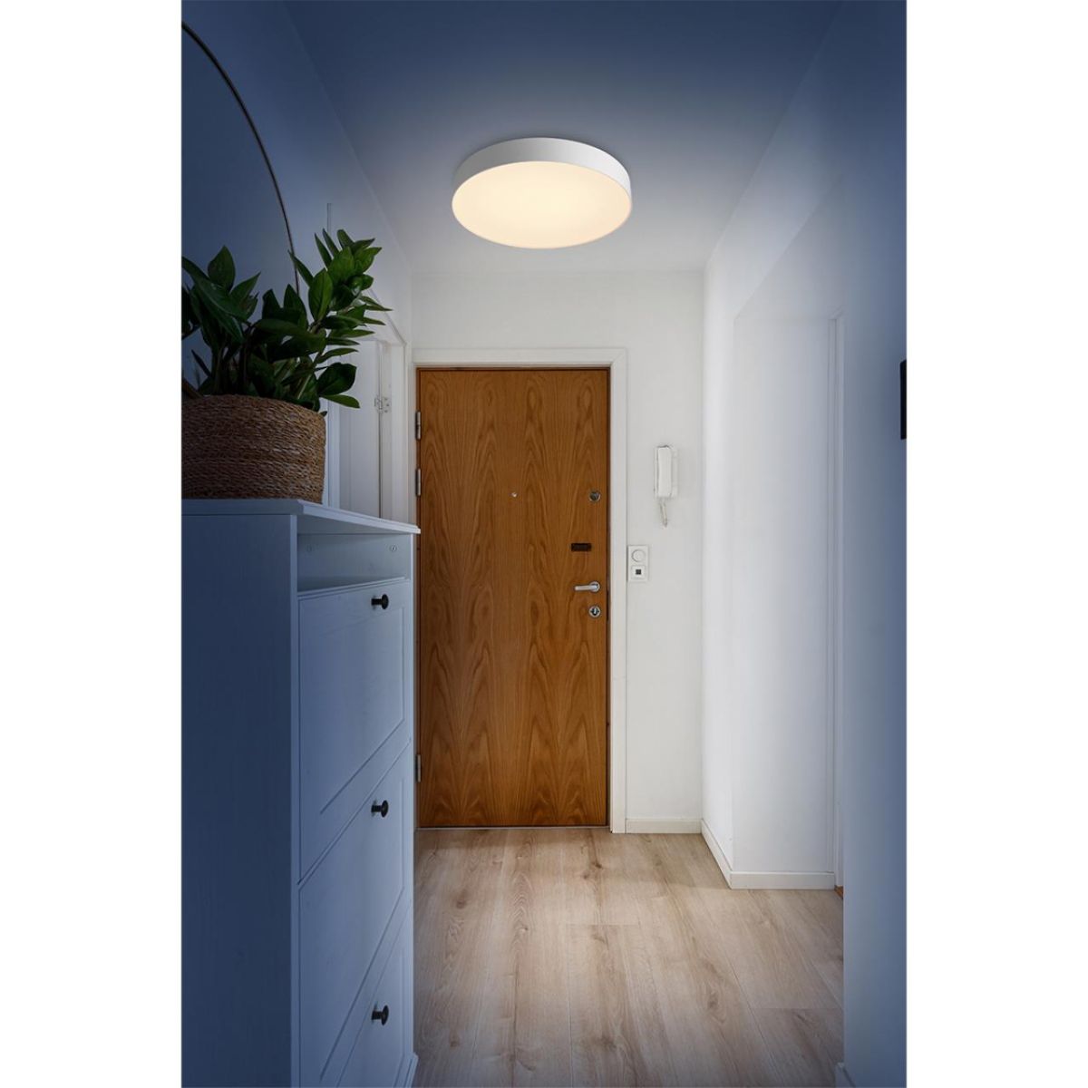 Настенно-потолочный светильник Sonex Basica Optima 7779/ELN в Санкт-Петербурге