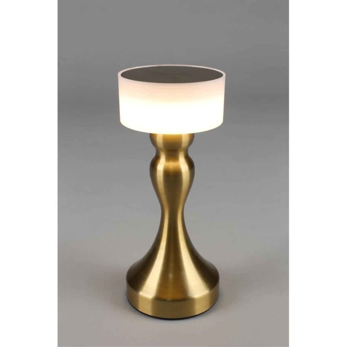 Настольная лампа Omnilux OML-40304-01 в Санкт-Петербурге