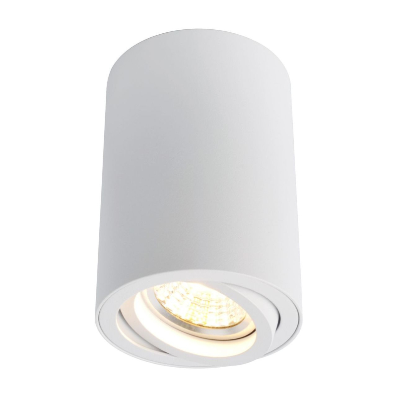 Потолочный светильник Arte Lamp A1560PL-1WH в Санкт-Петербурге