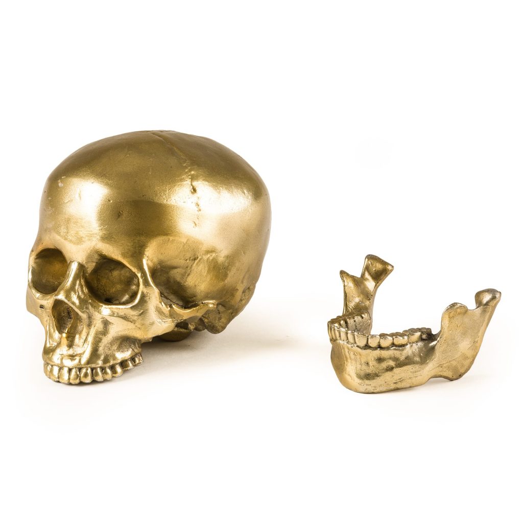 Статуэтка Human Skull Seletti Wunderkammer 10891 в Санкт-Петербурге