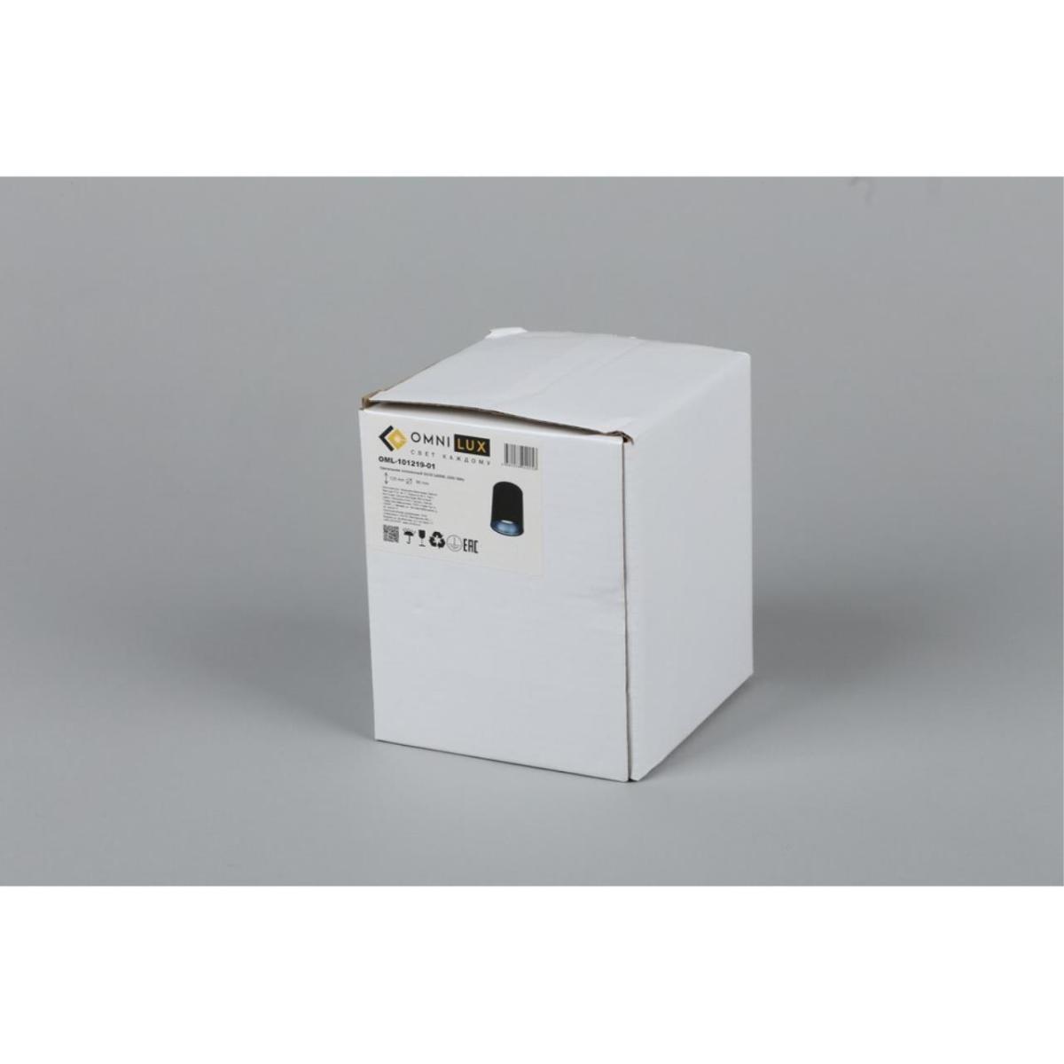 Потолочный светильник Omnilux Cariano OML-101219-01 в #REGION_NAME_DECLINE_PP#