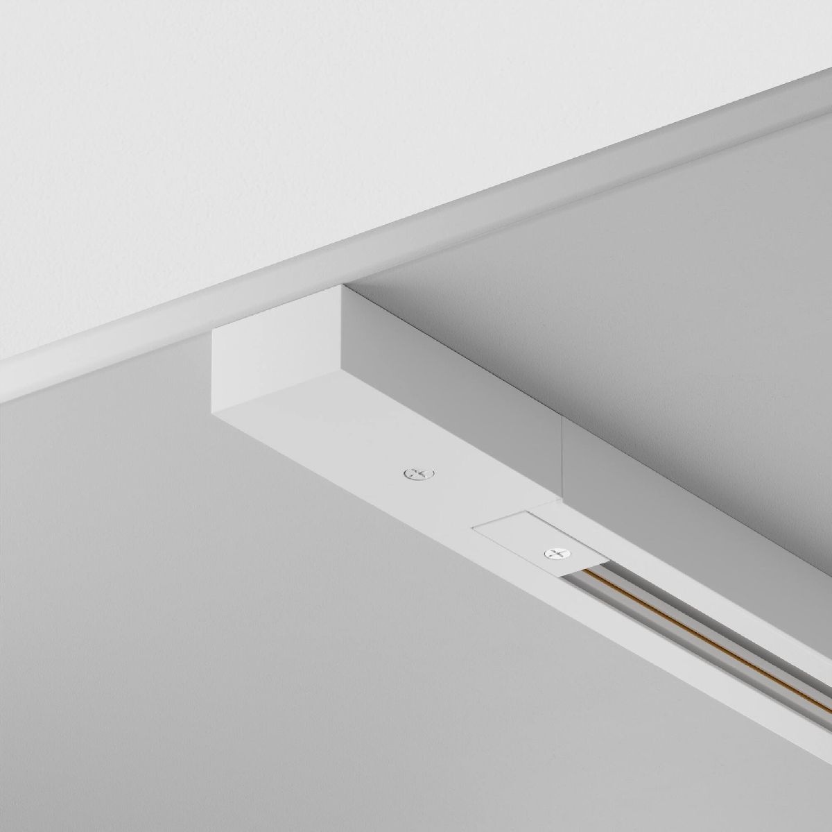 Шинопровод однофазный Maytoni Technical Busbar trunkings TRX001-113W в Санкт-Петербурге