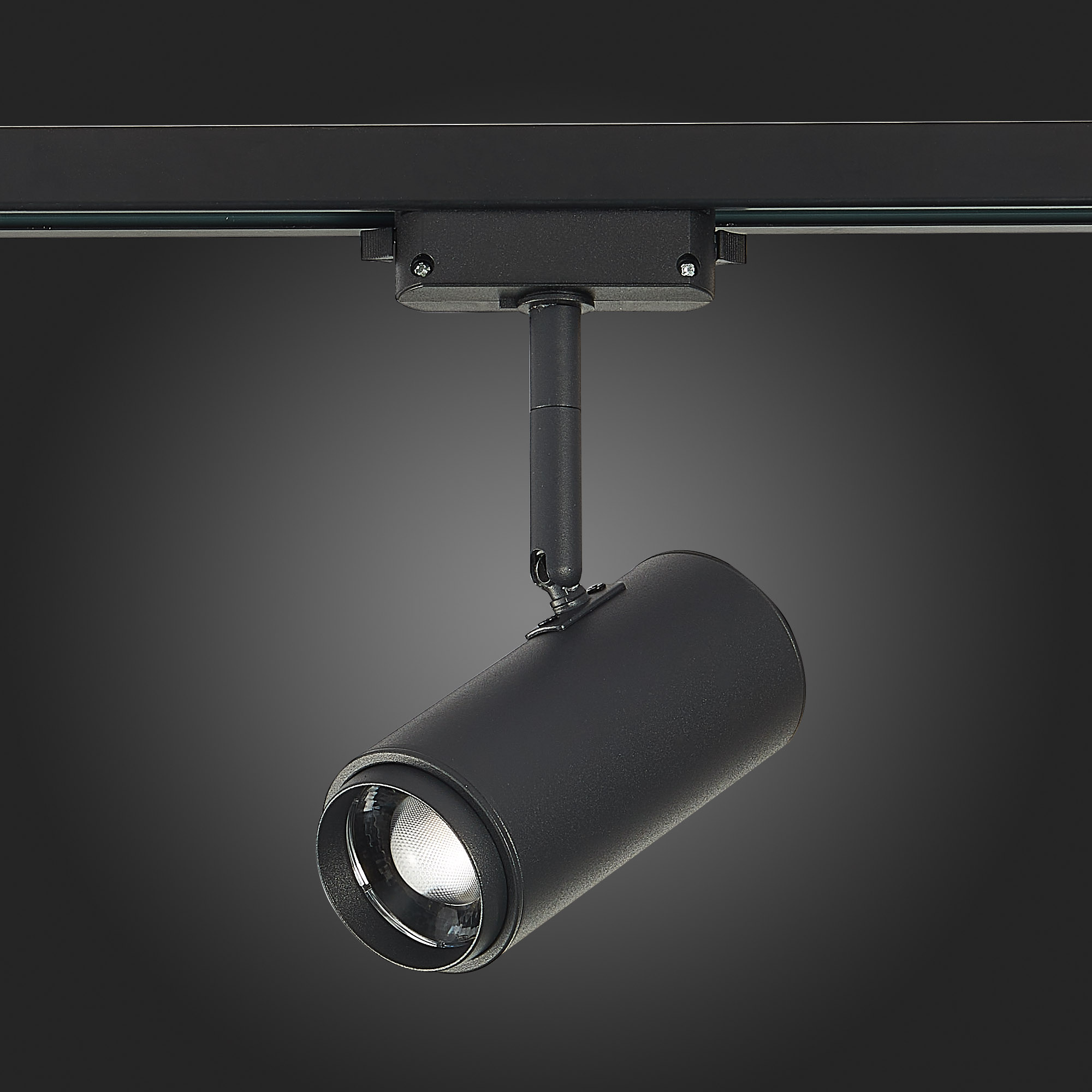 Трековый светильник ST Luce Zoom ST600.446.12 в #REGION_NAME_DECLINE_PP#