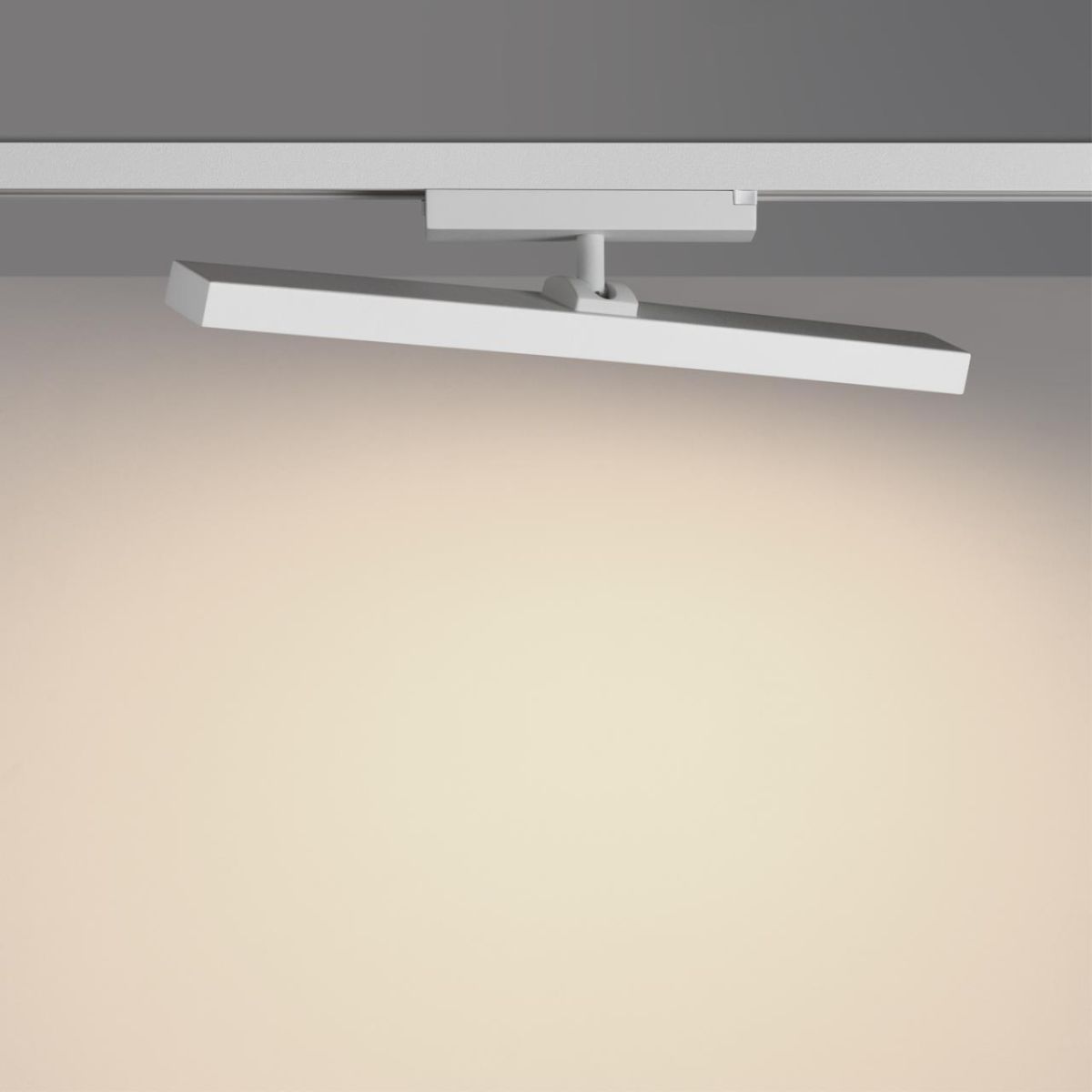 Трековый однофазный светильник с переключателем цв. температуры Novotech Port Stratus 359776 в Санкт-Петербурге