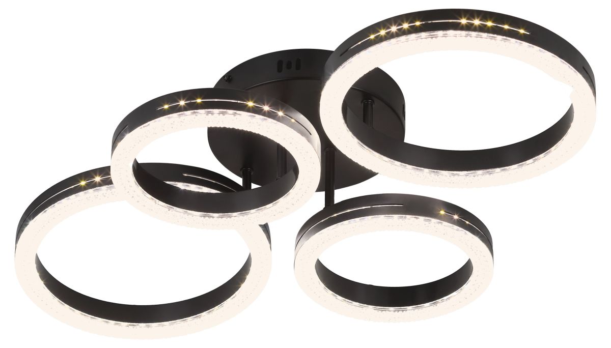 Потолочный светильник Rivoli Flora 6191-201 в Санкт-Петербурге