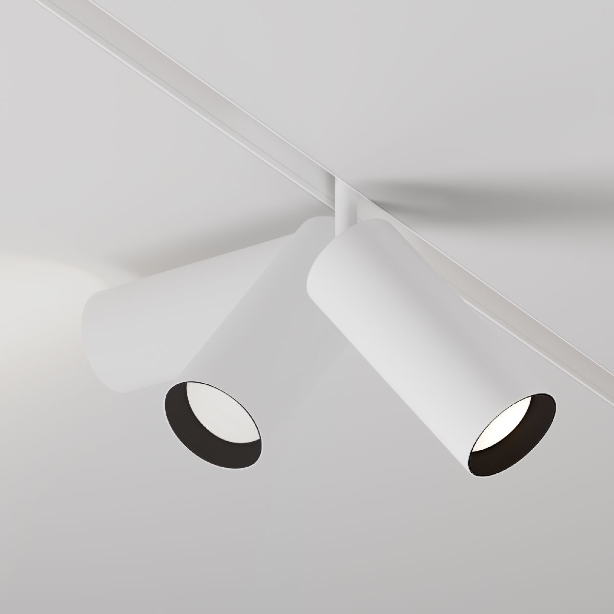 Трековый магнитный светильник Maytoni Focus LED TR032-2-20W4K-S-W в Санкт-Петербурге
