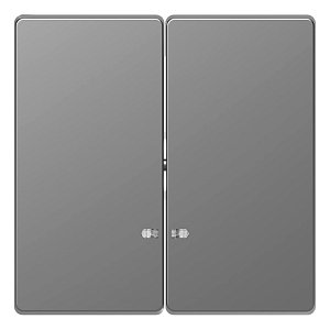Клавиша двойная Schneider Electric Merten D-Life MTN3420-6036