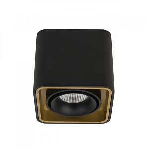 Влагозащищенный светильник LeDron TUBING Black/Gold 00000013167