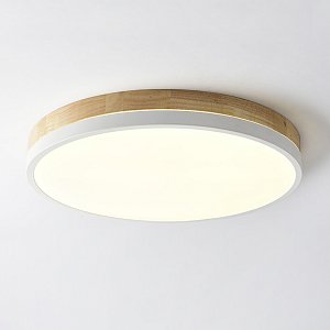 Потолочный светильник ImperiumLoft Disc 189903-26