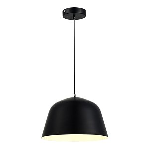 Подвесной светильник Evoluce Blank SLE1805-403-01