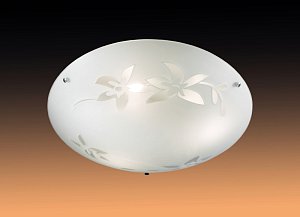 Потолочный светильник Sonex Romana 3214