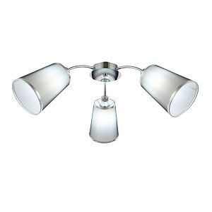 Потолочная люстра EVOLUCE MALEONTE SLE103002-03