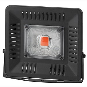 Прожектор светодиодный ЭРА FITO-50W-LED Б0044651