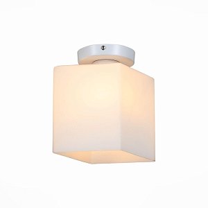 Настенно-потолочный светильник ST Luce Aspetto SL548.501.01