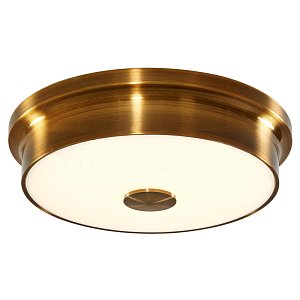Потолочный светильник Citilux Фостер CL706222