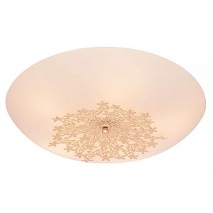 Потолочный светильник Silver Light Verbena 835.50.5