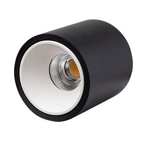 Влагозащищенный светильник LeDron RINBOK Black/White 00000018210
