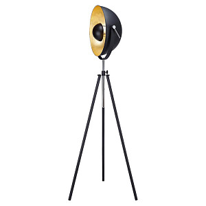Торшер Lussole Loft Bollo LSP-9824 УЦ