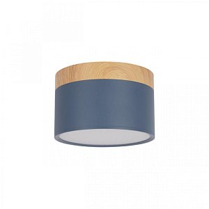 Накладной светильник Loft IT Grape 10162 Blue