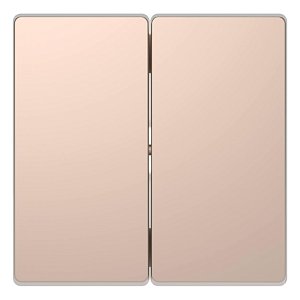 Клавиша двойная Schneider Electric Merten D-Life MTN3400-6051