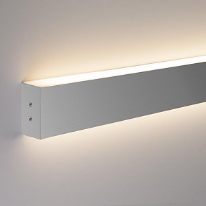 Настенный светодиодный светильник Elektrostandard LS-02-2-53-6500-MS 4690389117565