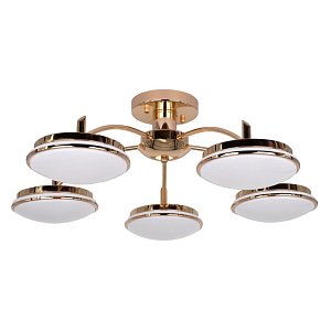 Потолочная светодиодная люстра F-Promo Ledante 2473-5P