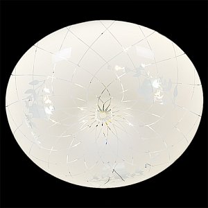Потолочный светильник Reluce 03651-9.2-24W*2