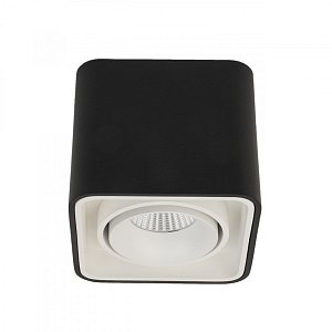 Влагозащищенный светильник LeDron TUBING Black/White 00000013166