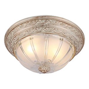 Потолочный светильник Arte Lamp Piatti A8014PL-2WA