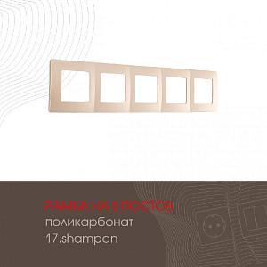 Рамка пятиместная Arte Milano 517.17-5.shampan