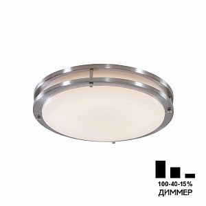 Настенно-потолочный светильник Citilux Бостон CL709321N