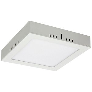 Накладной светодиодный светильник Elektrostandard DLS020 18W 4200K 4690389084584