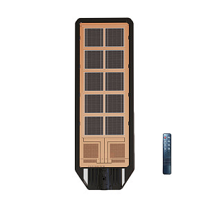 Консольный светильник Arte Lamp Avior A9400AL-1BK