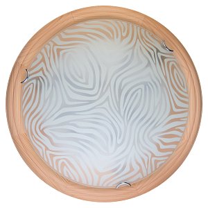 Настенно-потолочный светодиодный светильник Toplight Agatha TL9260Y-00PN