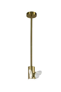Потолочный светильник AM Group MARIPOSA SP1 POLISHED GOLD