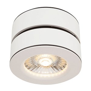Спот Maytoni Treviso C023CL-L20W