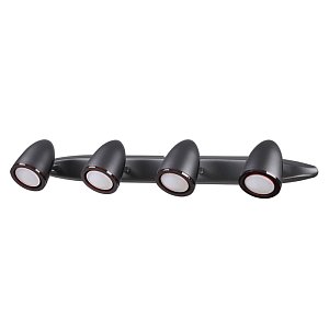 Спот Odeon Light Imagio 3824/4W
