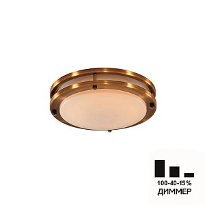 Настенно-потолочный светильник Citilux Бостон CL709203N
