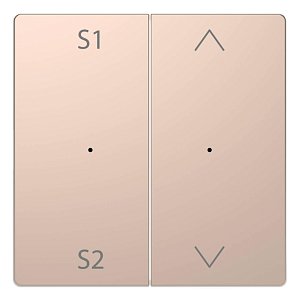 Клавиша двойная Schneider Electric Merten D-Life MTN5227-6051