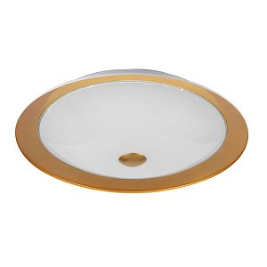 Потолочный светильник Maytoni Euler CL815-PT42-G