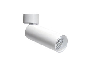 Накладной спот Donolux Rollo DL18895R30N1W ST