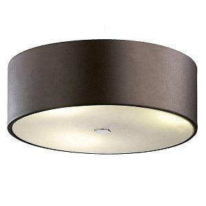 Потолочный светильник Odeon Light Salar 2047/3C