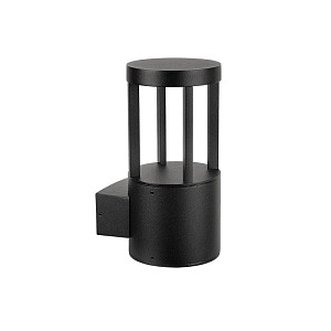 Уличный настенный светильник Arte Lamp Carcassa A4666AL-1BK