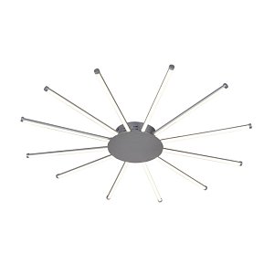 Потолочный светодиодный светильник Favourite Aster 2379-12U