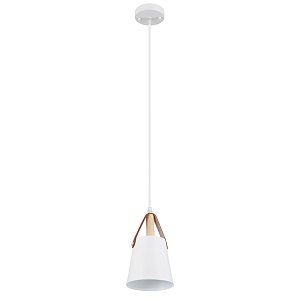 Подвесной светильник Arte Lamp Thomas A7032SP-1WH