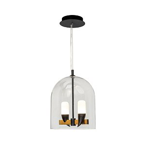 Подвесная светодиодная люстра Loft IT Whisper 1028-2BL