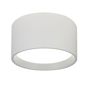 Потолочный светильник Escada 20005SMU/02LED SWH