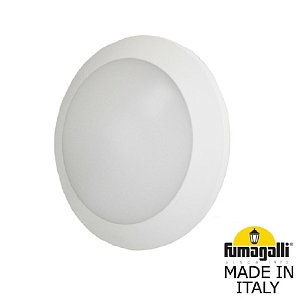 Уличный потолочный светильник Fumagalli Bertina 1B1.000.000.WYG1L