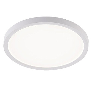Потолочный светильник Natali Kovaltseva Plain LED LAMPS 81113/2C